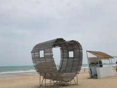 -日照海滨国家森林公园