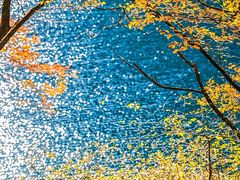 -叠溪松坪沟景区