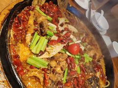 -老板恋上鱼(恒隆广场店)