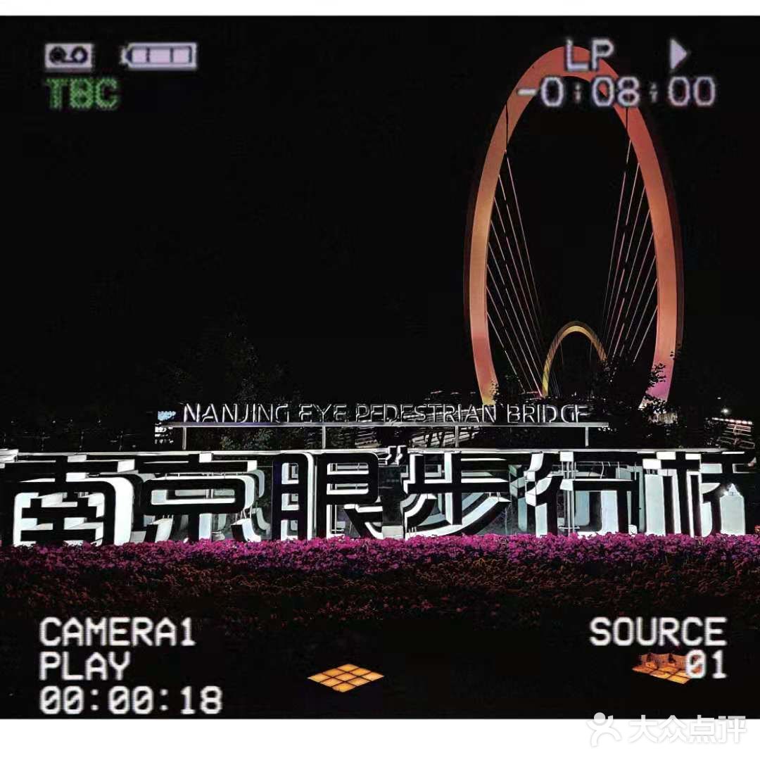 饭后迎着凉风走走-南京眼步行桥