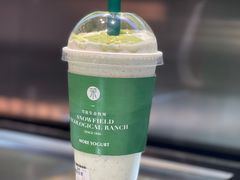 -茉酸奶(春熙路店)