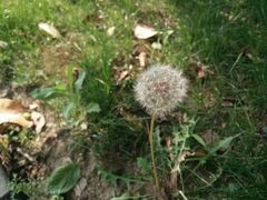 -白塘生态植物园