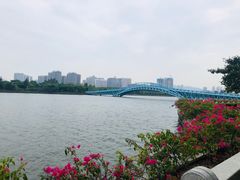 -五缘湾湿地公园