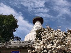 -妙应寺白塔