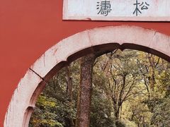 -灵谷景区