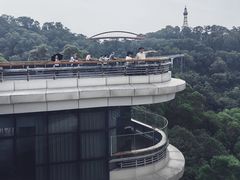 -金鸡山公园