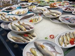 -杨记海鲜楼(三门黑金冠店)