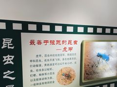 -上海昆虫博物馆
