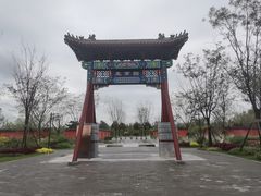 -东平国家森林公园