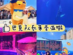 -大连圣亚海洋世界