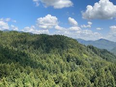 -山王坪喀斯特国家生态公园