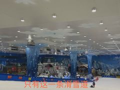 -长沙湘江冰雪世界