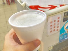 -洪馨椰子