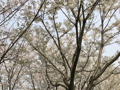 -白塘生态植物园