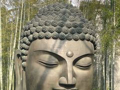 -杭州植物园