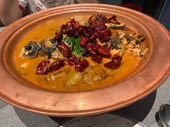 -柿合缘新京菜(国金中心商场店)
