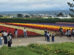 -富田农场