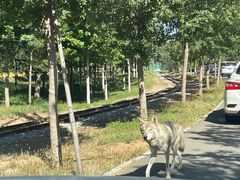 -秦皇岛野生动物园