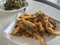 -途肴·老农饭庄(百里峡店)
