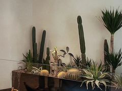 -J Create城市露营咖啡·简餐·宠物(上海动物园店)