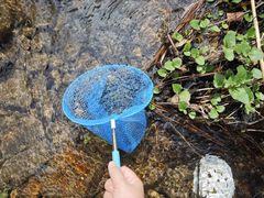 -福清灵石山国家森林公园