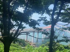 -星海湾跨海大桥