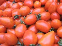 -乐乐鲜果(解放南路店)