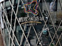 -鹏欣水游城