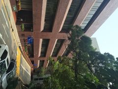 iphone_upload_pic-香港大学