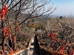 -妙峰山风景名胜区
