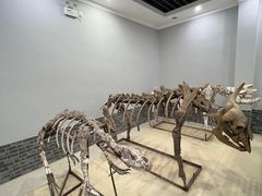 -游龙石文化科普馆