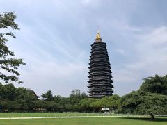 -红梅公园