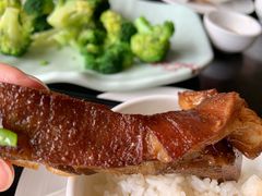 -OLD TREE老树咖啡·西餐厅(台山人工湖店)