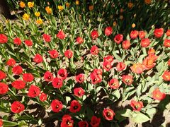 -长春公园(普阳街道)