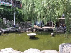 -孤山寨风景区