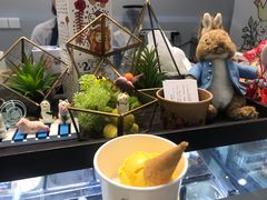 楊枝甘露-歎雪糕低糖低脂Gelato冰淇淋