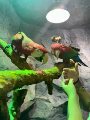 -Zoolung Zoolung动物主题公园(海信广场店)