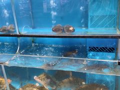 -盒马鲜生(皇庭广场店)