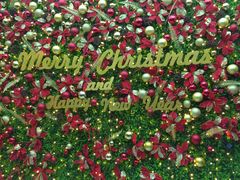 店内环境-上海世茂广场(南京东路店)