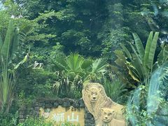 -海南热带野生动植物园