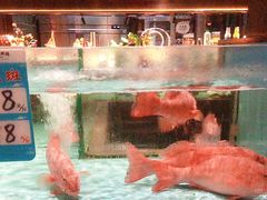 -阿伟海鲜楼·福建菜(延寿店)