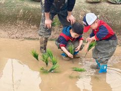 -金色摇篮潜能开发幼儿园(大兴校区)