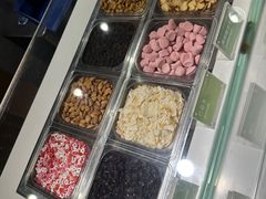 -Salud撒露欧洲冻酸奶(蓝色港湾店)
