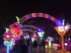 -青岛方特梦幻王国