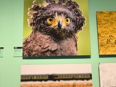 -中国湿地博物馆