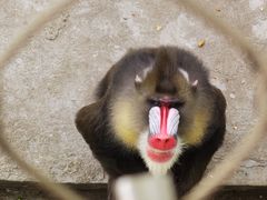 -西安秦岭野生动物园