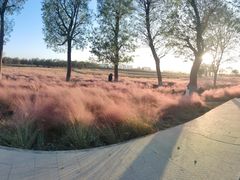 -汉长安城未央宫国家考古遗址公园