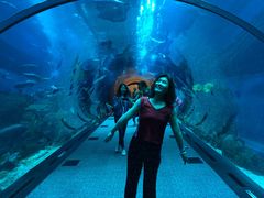 -迪拜水族馆及水下动物园