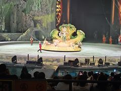 -广州长隆国际大马戏