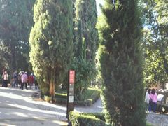 -阿尔罕布拉宫